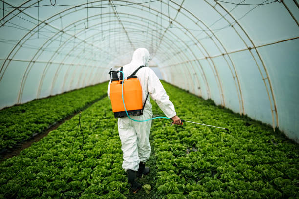 Best Emergency Pest Control  in Flatonia, TX
