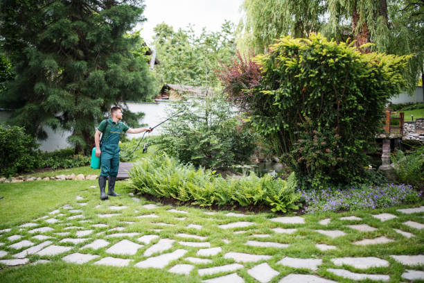 Best Affordable Pest Control Services  in Flatonia, TX