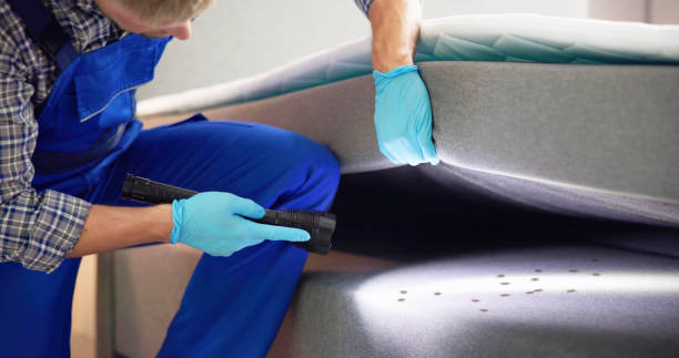 Best Wasp Removal Services  in Flatonia, TX