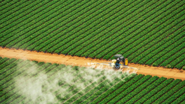 Best Pest Inspection Near Me  in Flatonia, TX