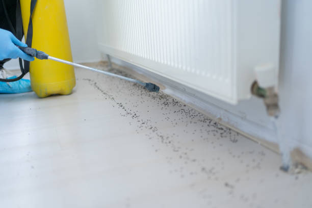 Best Pest Control for Restaurants  in Flatonia, TX
