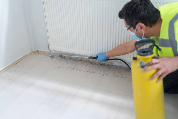 Best Pest Prevention Services  in Flatonia, TX